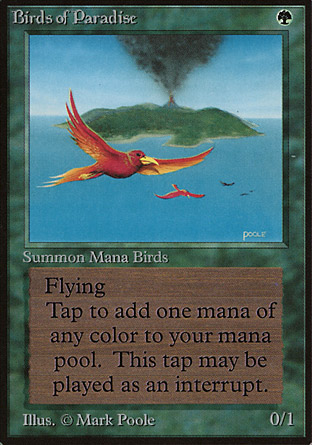 /prodotti/1/1041/Birds_of_Paradise.full.jpg