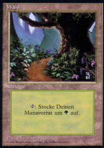 /prodotti/1/1041/forest2.jpg