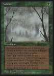 Nebbia