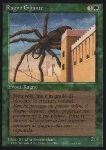 Ragno Gigante