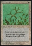 Sigillo Verde