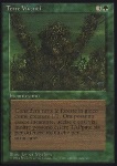 Terre Viventi