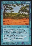 Terreno Illusorio