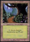 Foresta (Version 2)