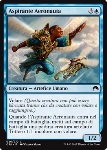 Aspirante Aeronauta