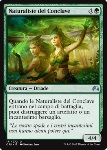 Naturaliste del Conclave