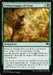 Pellegrinaggio di Nissa