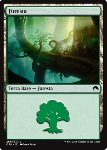 Foresta