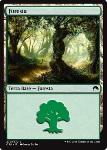 Foresta