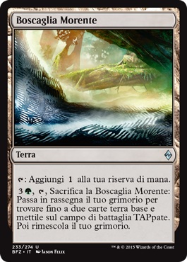 /prodotti/1/1050/BFZ233.jpg