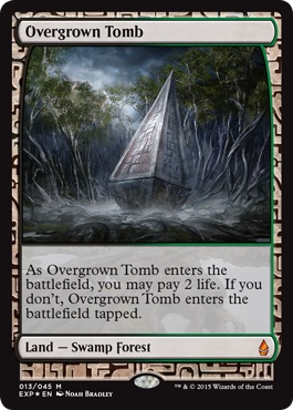 /prodotti/1/1050/OvergrownTomb.jpg