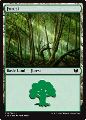 Foresta