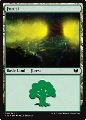 Foresta