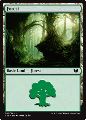 Foresta