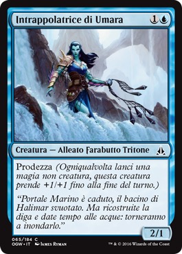 /prodotti/1/1054/OGW065.jpg