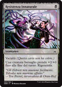 /prodotti/1/1054/OGW080.jpg