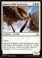 Rapace della Spedizione