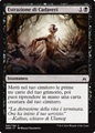 Estrazione di Cadaveri