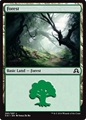 Foresta (V.1)