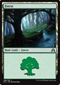Foresta (V.2)