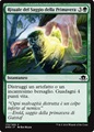 Rituale del Saggio della Primavera