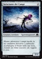 Strisciante dei Campi