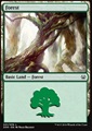 Foresta (V.1)