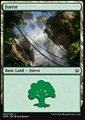 Foresta (V.2)