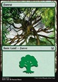 Foresta (V.4)