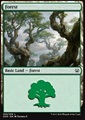 Foresta (V.5)