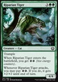 Tigre delle Rive