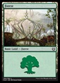 Foresta