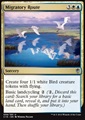 Rotta Migratoria
