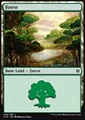 Foresta