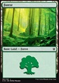 Foresta