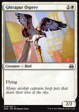 /prodotti/1/1092/AER020.jpg