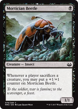 /prodotti/1/1097/MM3078.jpg