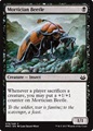Scarabeo Necroforo