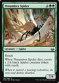 Ragno della Penombra