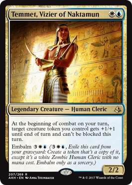 /prodotti/1/1100/AKH207.jpg