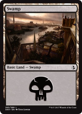 /prodotti/1/1100/AKH263.jpg