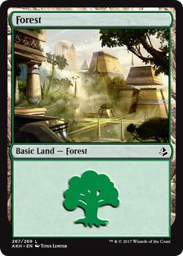/prodotti/1/1100/AKH267.jpg