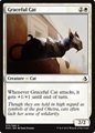 Gatto Aggraziato