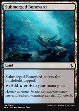 /prodotti/1/1100/submerged_boneyard.jpg