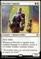 Capitano del Distretto