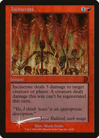 /prodotti/1/1113/dkm-14s-incinerate.jpg