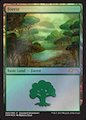 Foresta (Ixalan Standard Showdown)