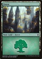 Foresta 2 (Ravnica Weekend)
