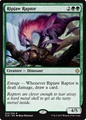Raptor Squartamascella