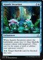 Incursione Acquatica